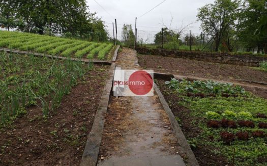 Maison en Vente à Bissen – Luxembourg